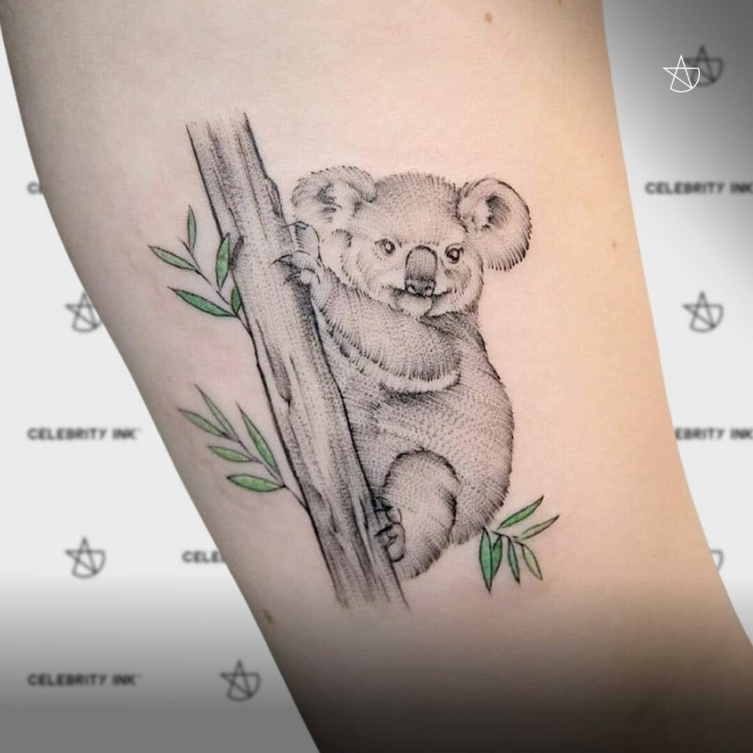 Koala Tattoo - Australian Wildlife Tattoos at Celebrity Ink Tattoos Studios